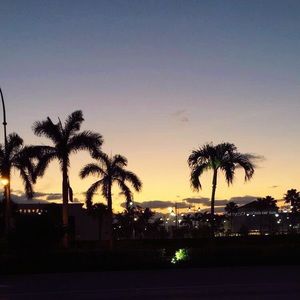 Meet your Posher, Rejoice